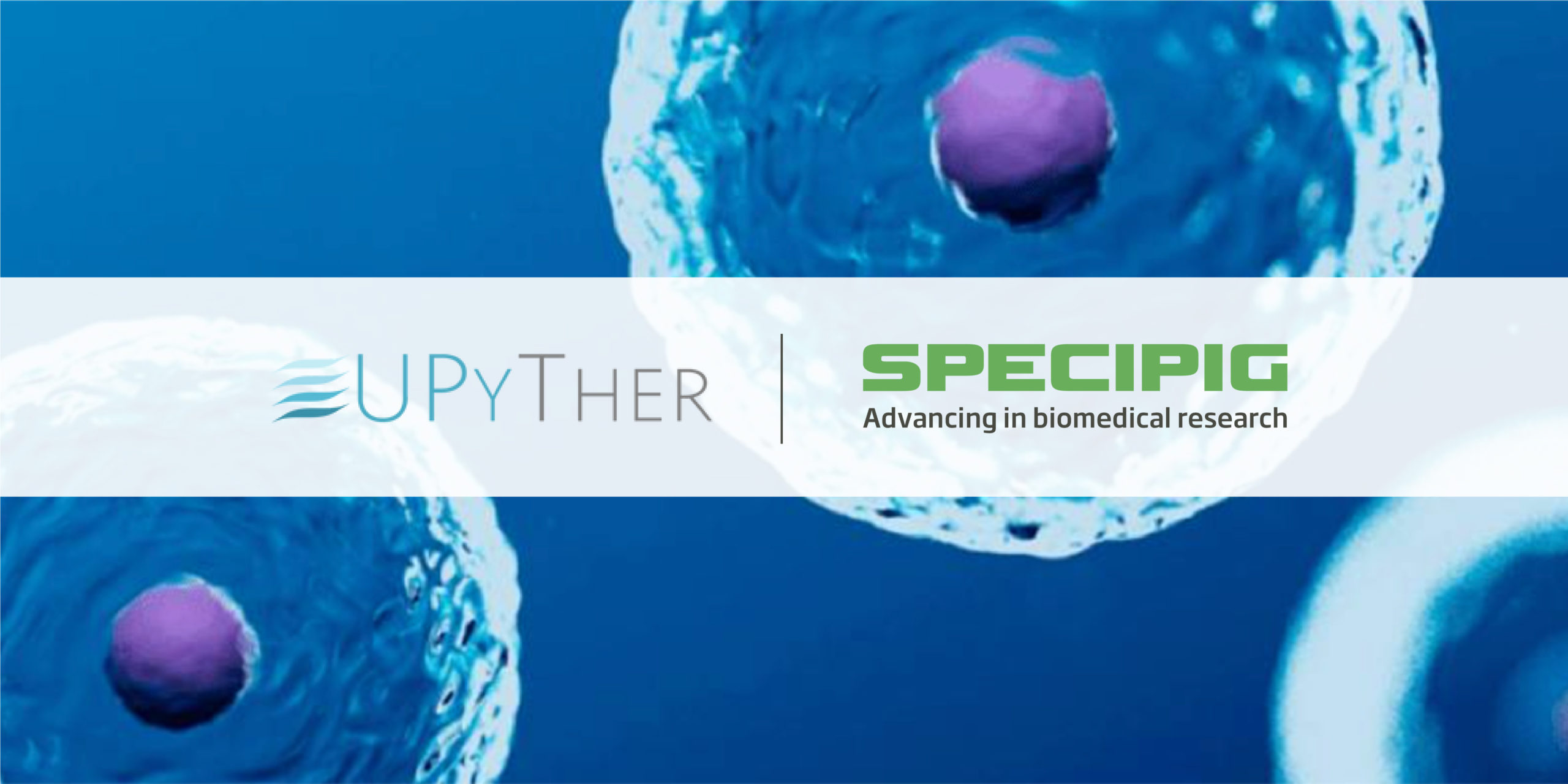 upyther preclinical research